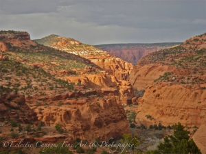 Upper Alone Creek Canyon (the gulch)