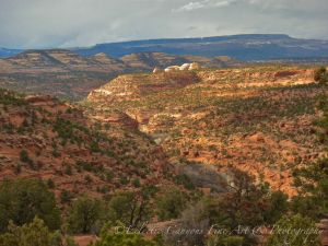 Overlooking Steep Creek